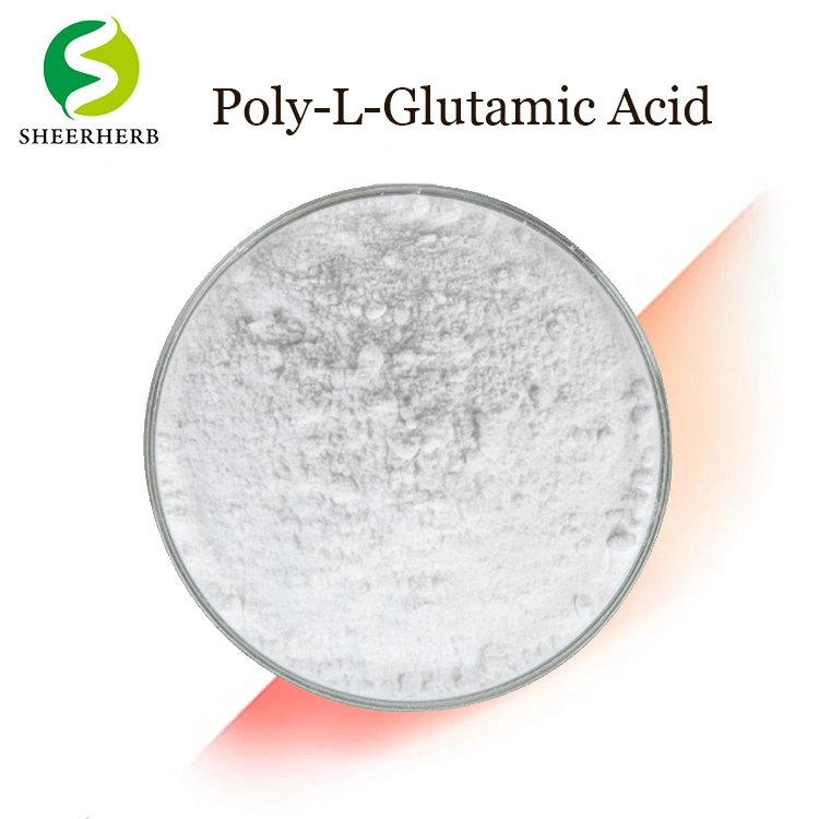 Cosmetic Ingredient Poly Glutamic Acid Powder Polyglutamic Acid for Skin