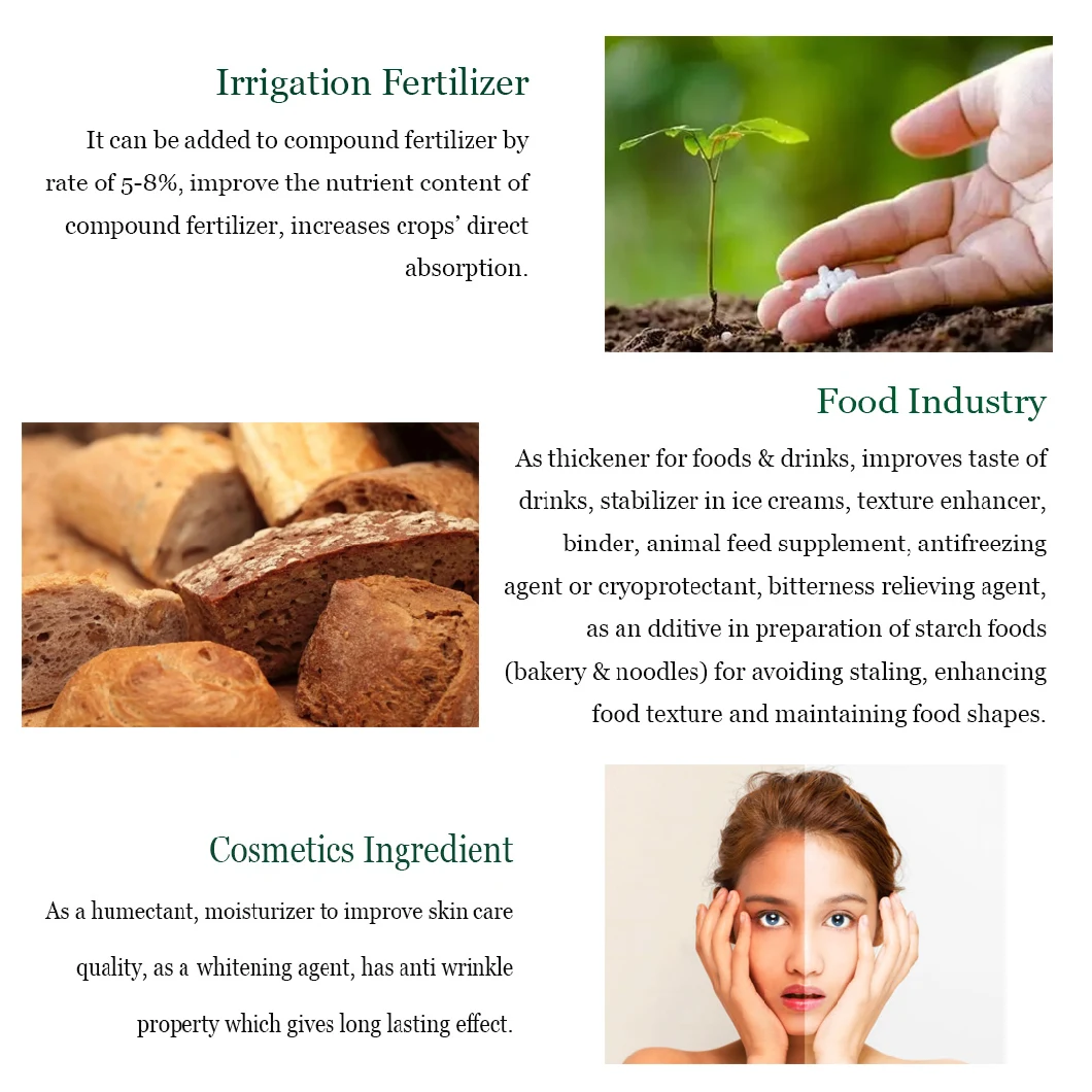 Cosmetic Ingredient Poly Glutamic Acid Powder Polyglutamic Acid for Skin