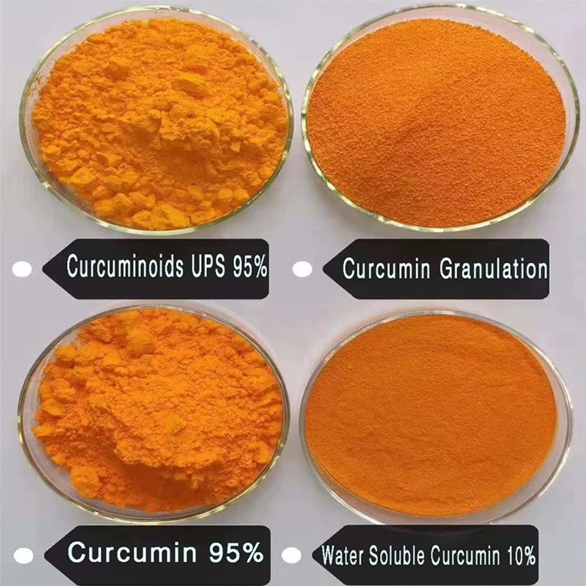 Curcumin 1