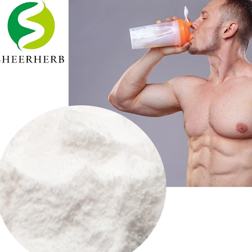 creatine details2