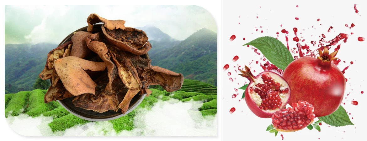 8426747710_1001882436