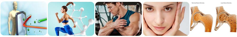Whey Protein-6