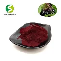 مسحوق التوت الأسود