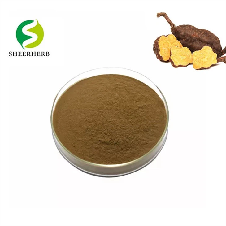 مسحوق مستخلص جذر فو تي