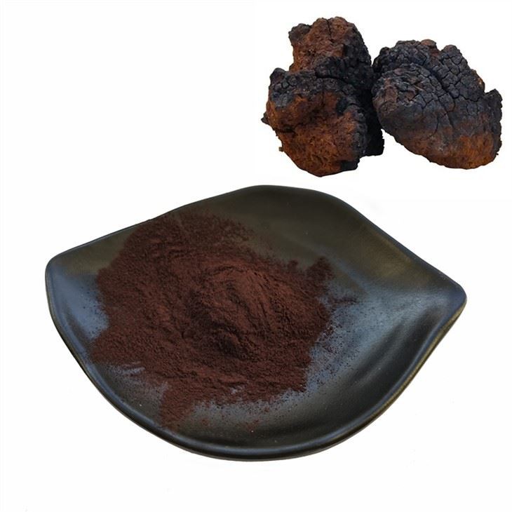 مسحوق مستخلص فطر شاجا العضوي