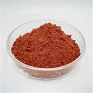 أفضل ملحق فيريتين